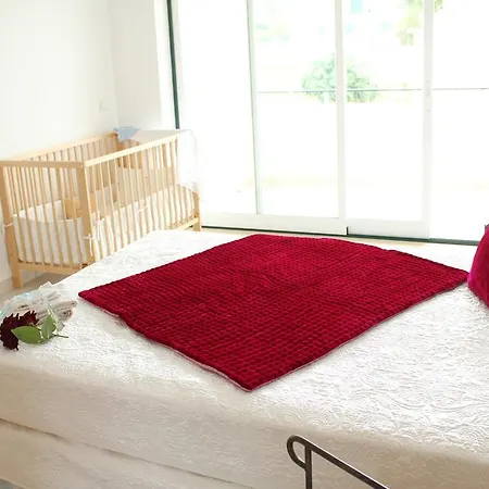 Canas House - Al 펜션