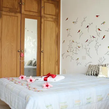 Canas House - Al Semesterbostad Areia Branca