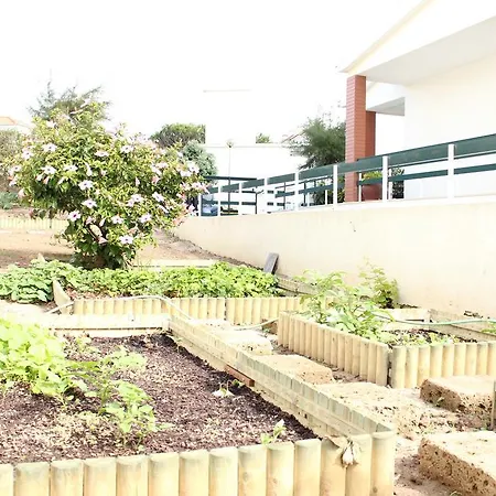 Σπίτι διακοπών Canas House - Al