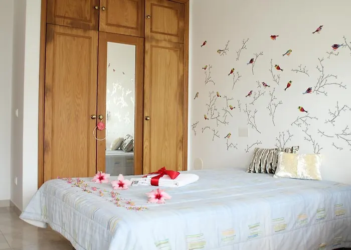 Canas House - Al Semesterbostad Areia Branca