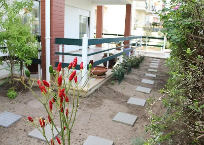 Canas House - Al Semesterbostad Areia Branca
