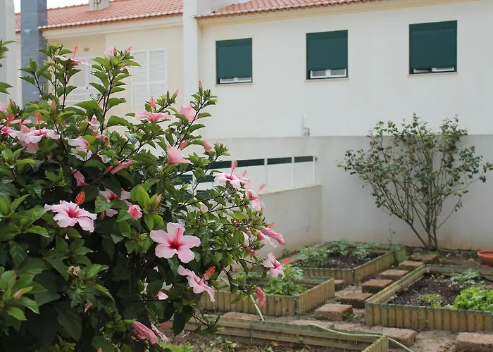 Canas House - Al Semesterbostad